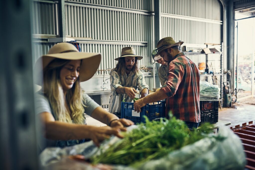 Shot of a group of farmers packing freshly harvested herbs in their warehouse