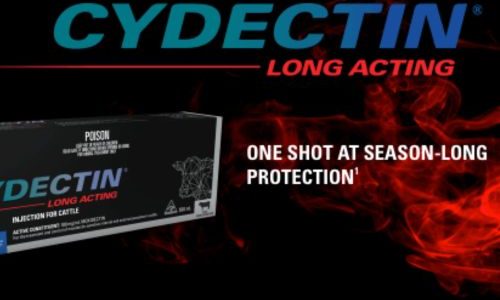 cydectin (1)